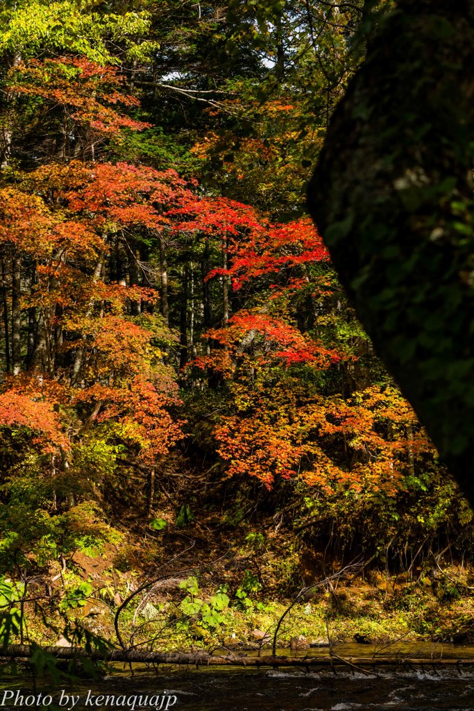 照らされる対岸