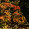 照らされる対岸