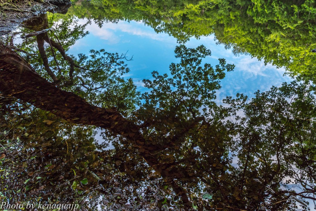 水底と空