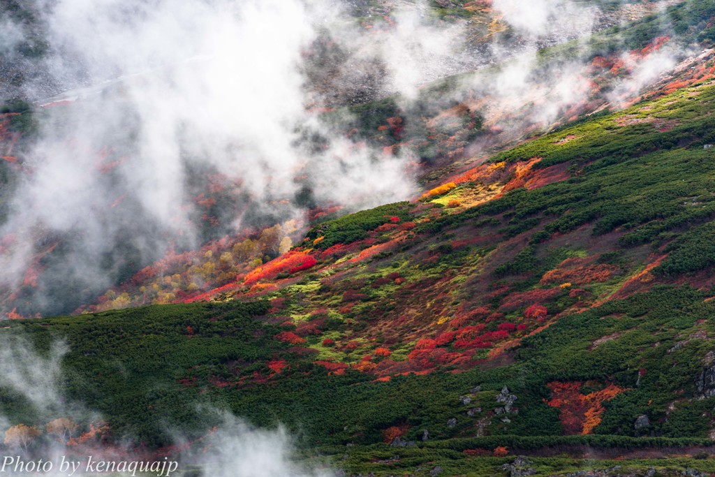 山腹の紅～輝く時