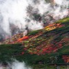 山腹の紅～輝く時