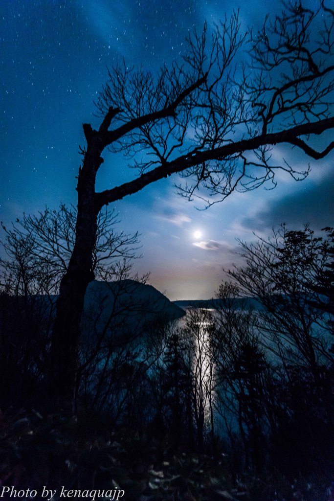 月明かり、光の道 by ken_aqua （ID：4959558） - 写真共有