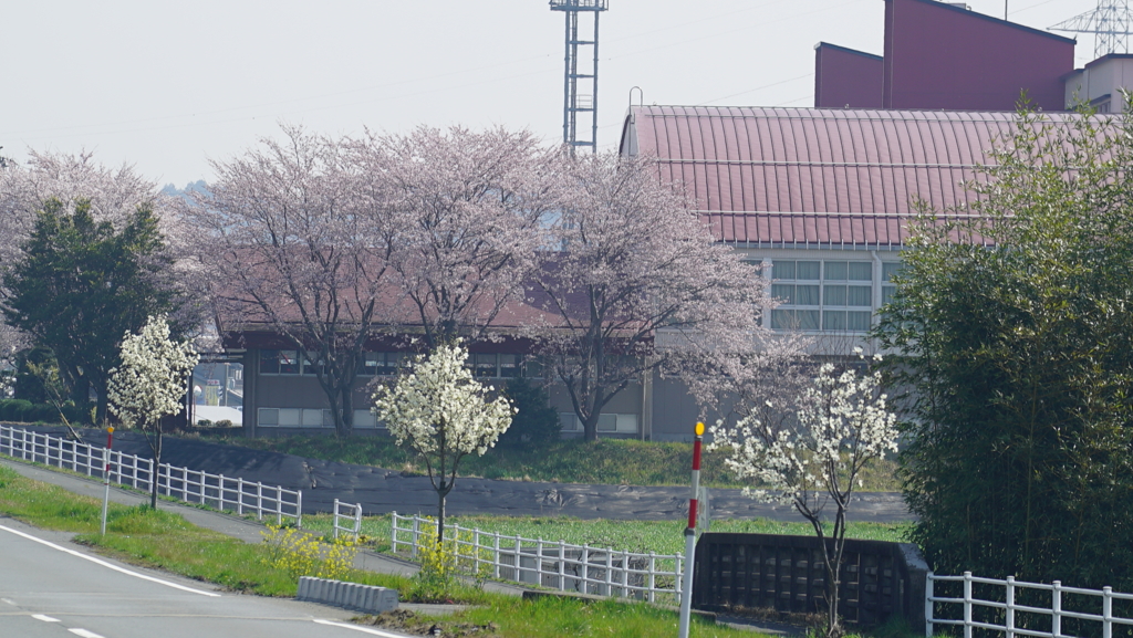 岐阜県にて