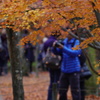 東福寺　紅葉8