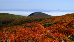 栗駒山から眺める紅葉と雲海