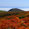 栗駒山から眺める紅葉と雲海