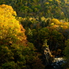 秋の定山渓