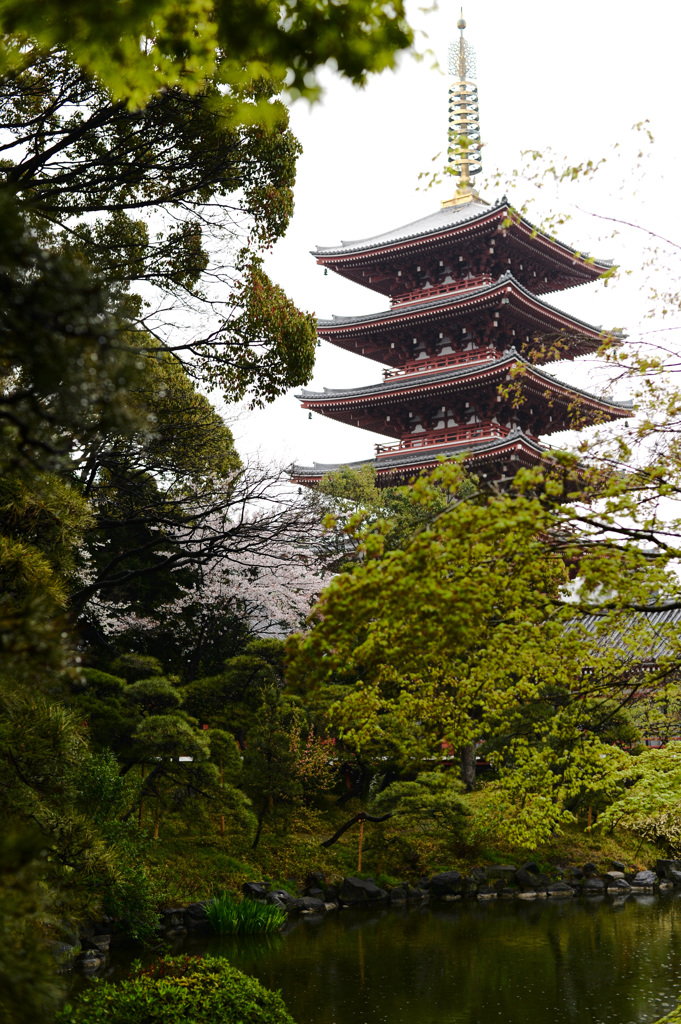 浅草寺