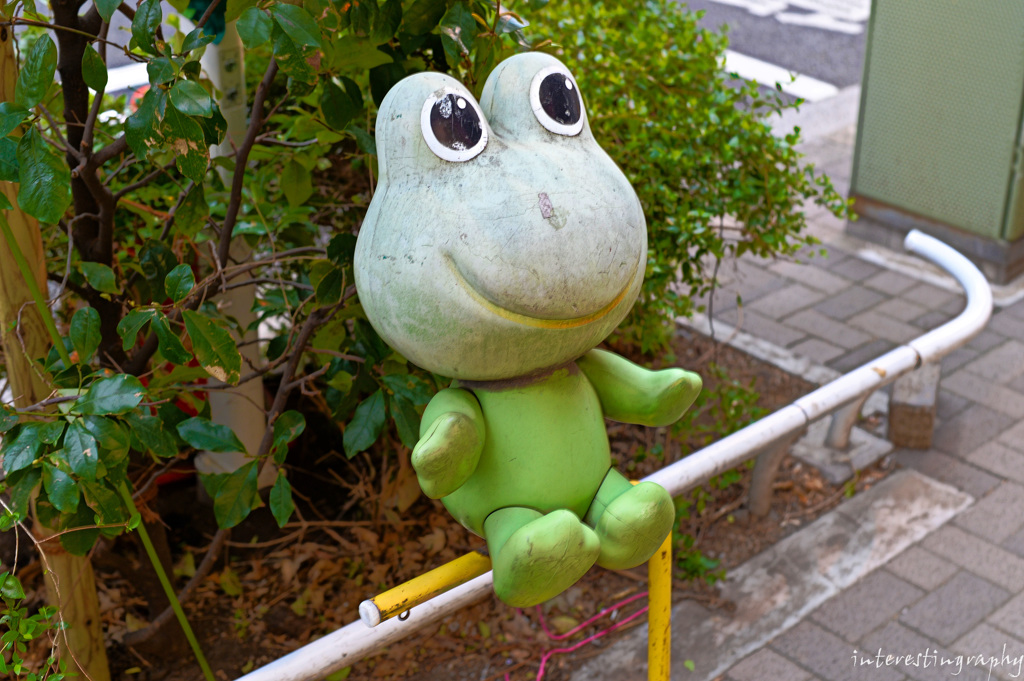 ケロヨン
