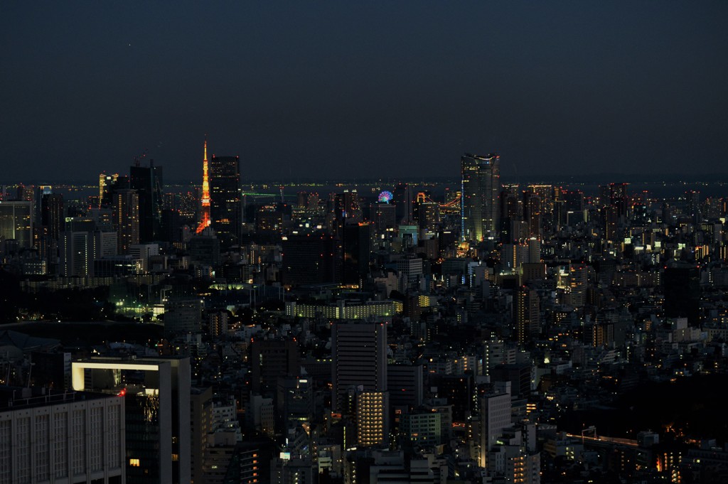 都庁から