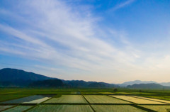 田舎の風景