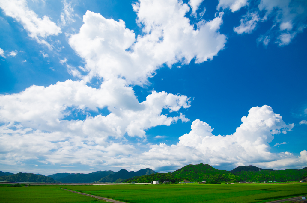 日本の夏