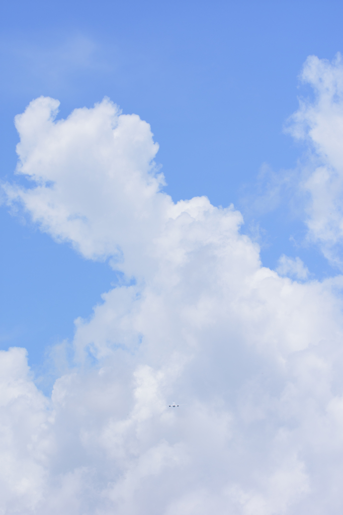 夏雲と飛行機