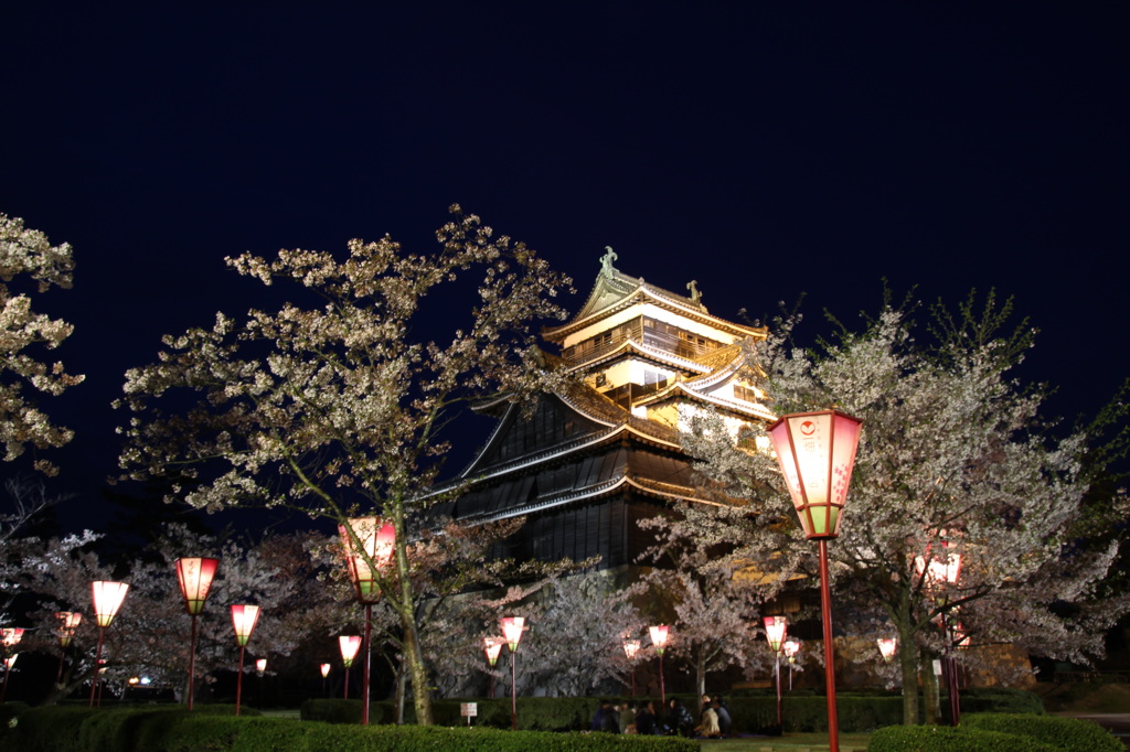 桜と松江城