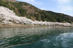 IMG_9956