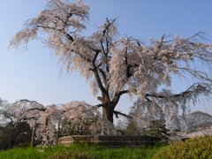 RIMG0453