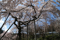 IMG_8070