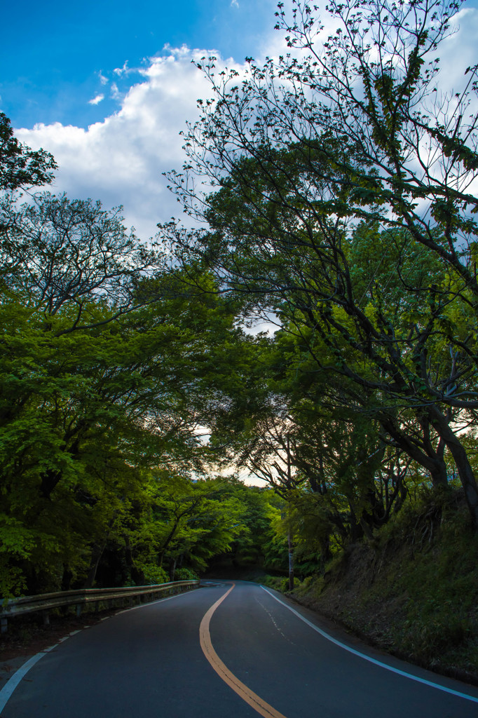 go the way straight