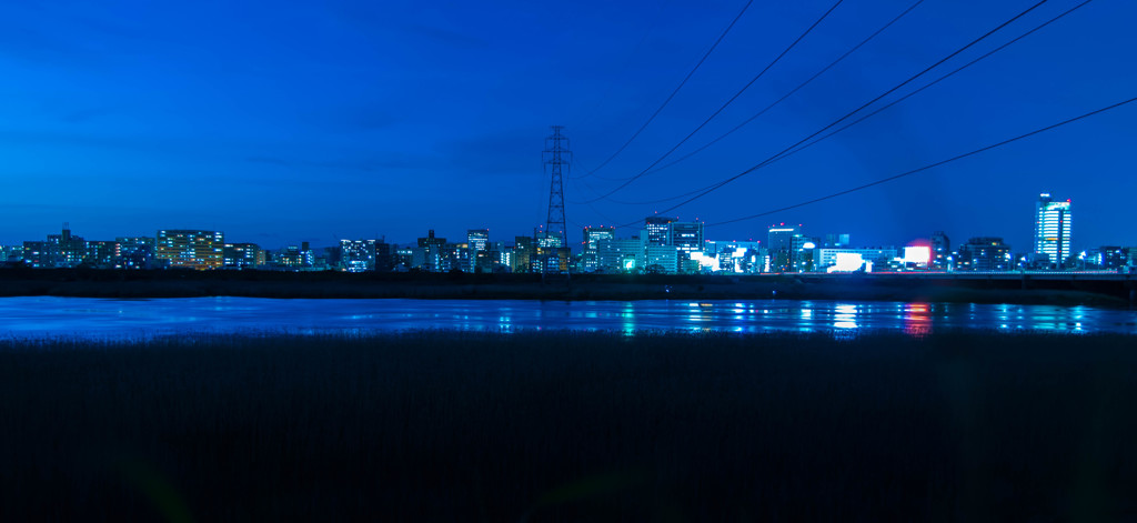 blue　night