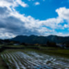 棚田スカイ