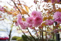 芦ノ湖です