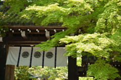 今宮神社　外側より