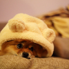 眠いねんけど。