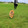 公園散歩③