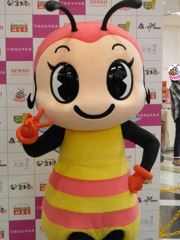 おしろタウンシャオでのぶんぶん