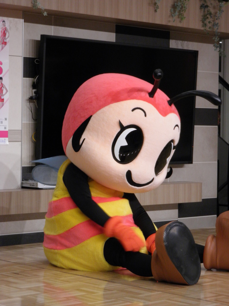 ぶんぶん、お疲れ様