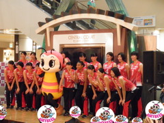 デンソーエアリービーズの選手