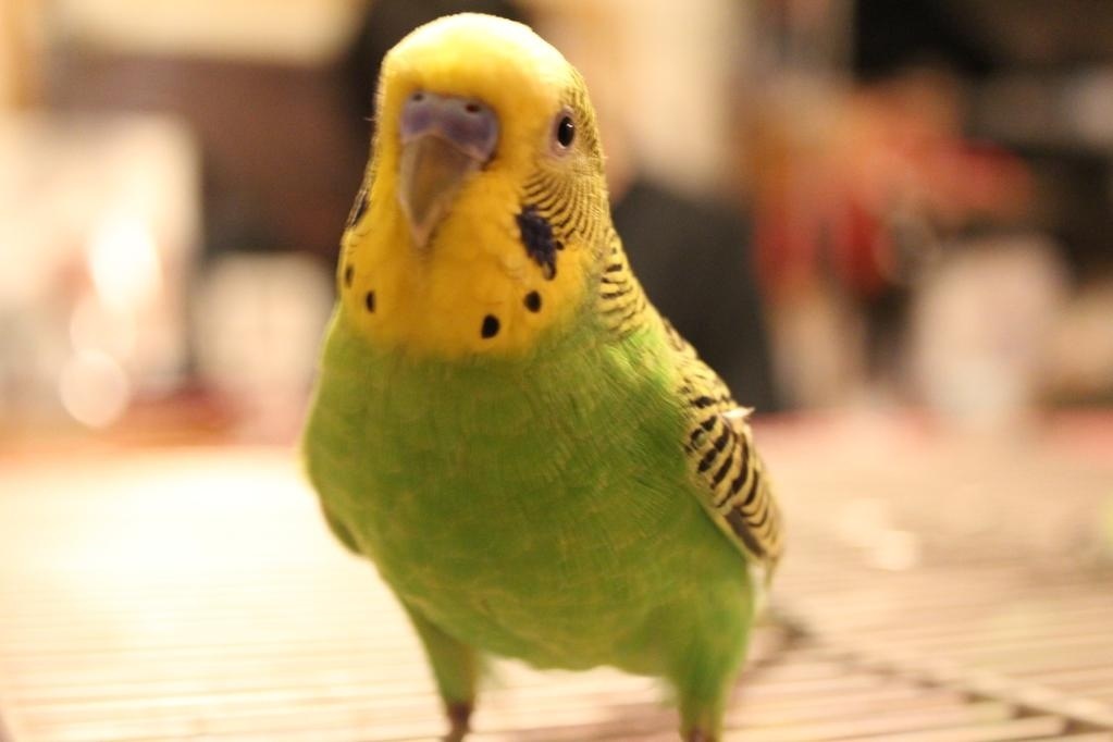 優しい眼差し