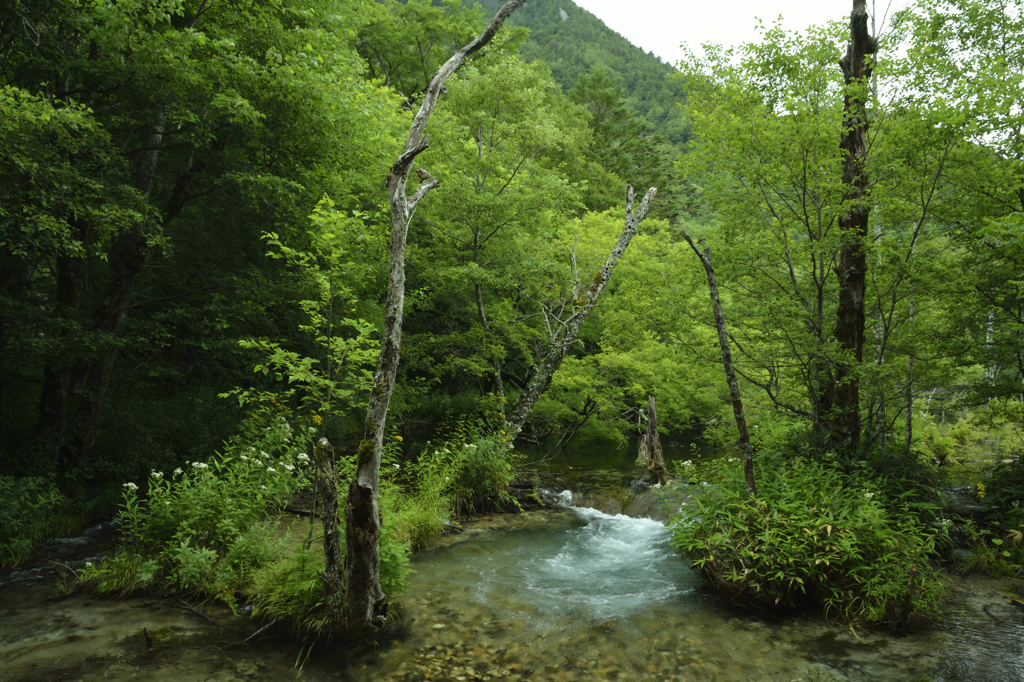 川のせせらぎ
