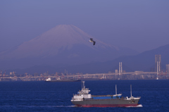 富士山と横浜