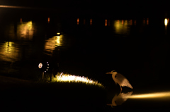 春の夜はうすら寒い