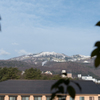 なごり雪と春の緑