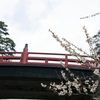 橋と梅