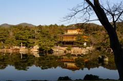 Golden Temple