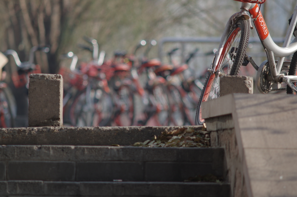 你好12月!  大家早上好!