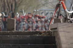 你好12月!  大家早上好!