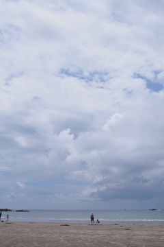 海