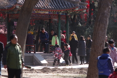 春节2018