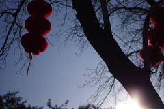 今天是2月10日马上就是春节
