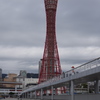 IMGP4376