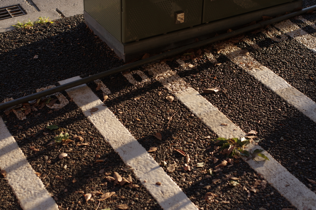 tokyo road