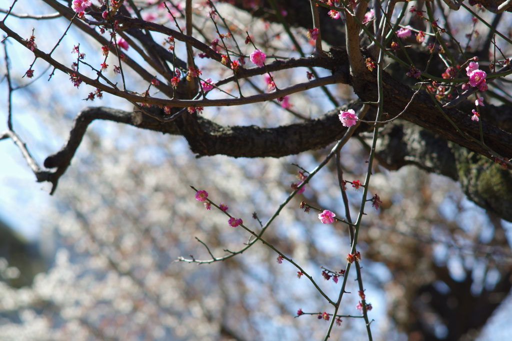 2020年2月23日 天气晴朗