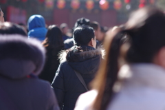 庙会