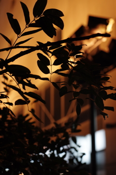 夜宵