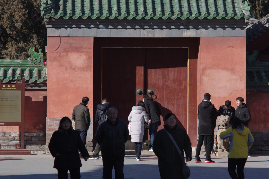 Chinese new year