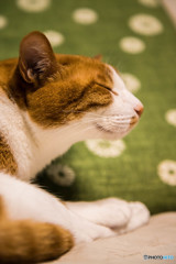 眠気